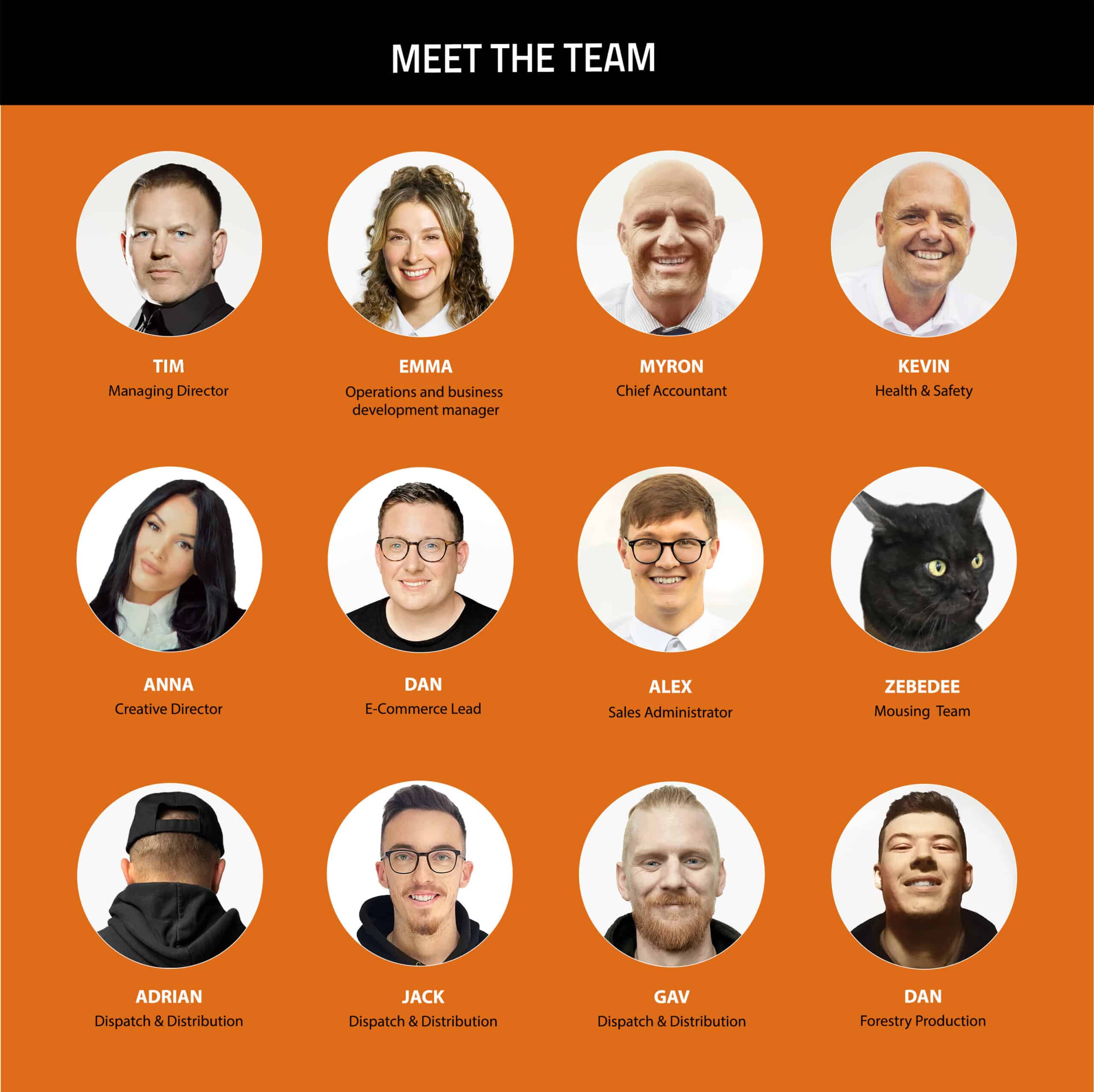 Meet the Team